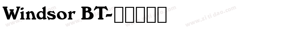 Windsor BT字体转换